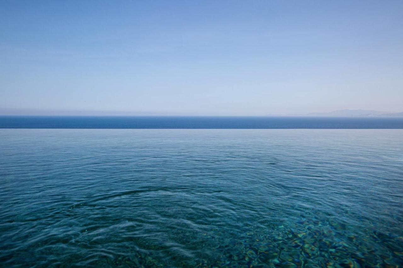 Verina Astra Artemonas Buitenkant foto